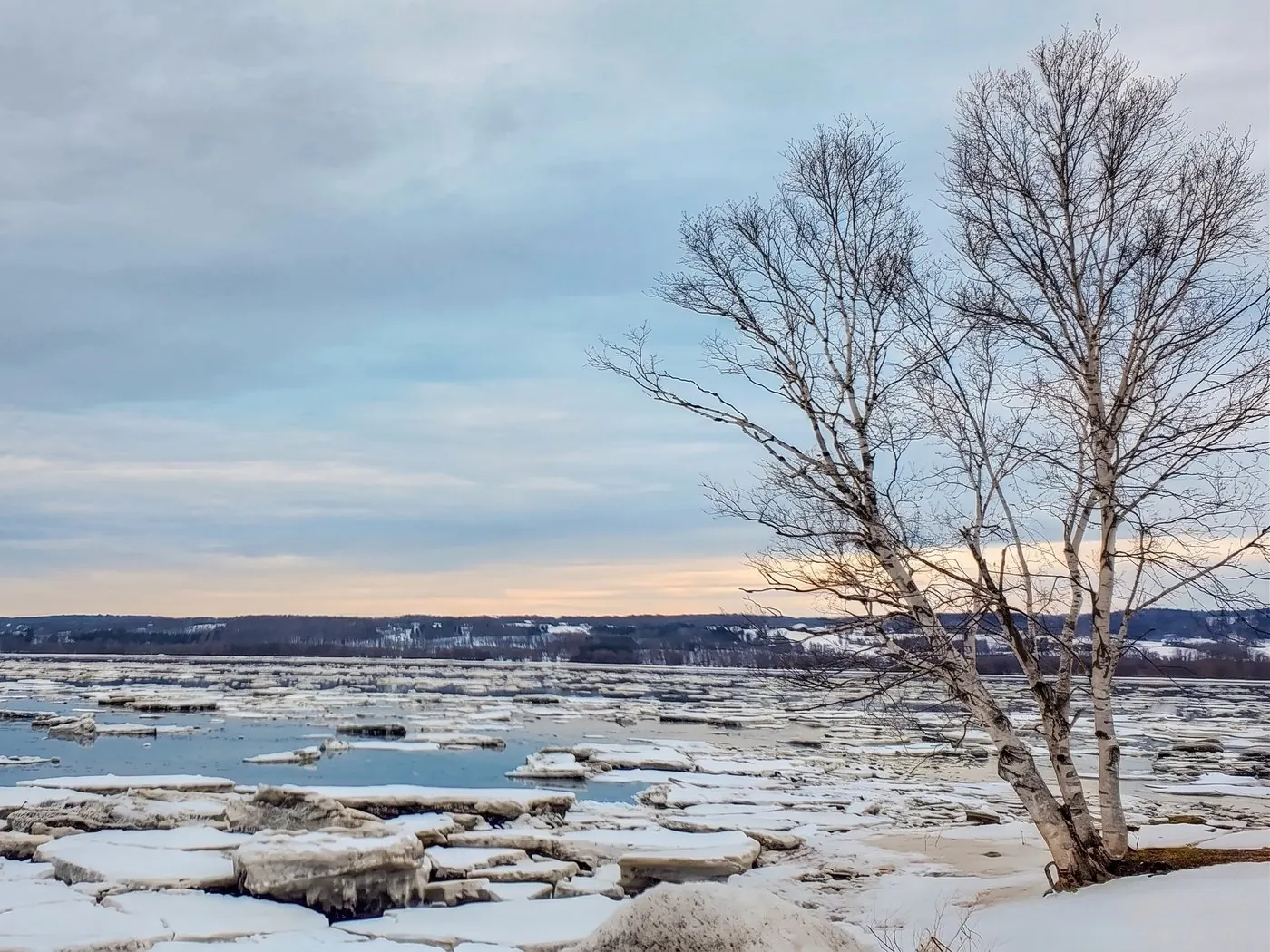 Berge glacée en hiver, bouleau et glaces sur le fleuve Saint-Laurent