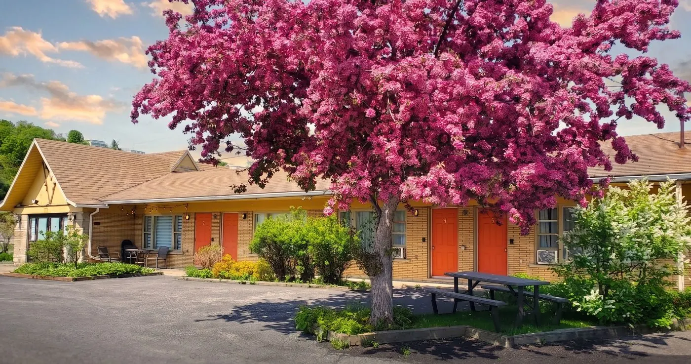 Façade de Fleuve et Montagnes avec ses portes orange et un pommetier en fleurs